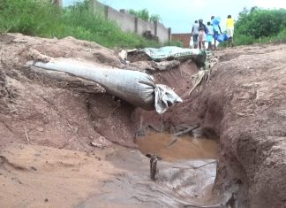 KOLWEZI : Les Avenues du quartier LUPUNDU, meurent à petit feu