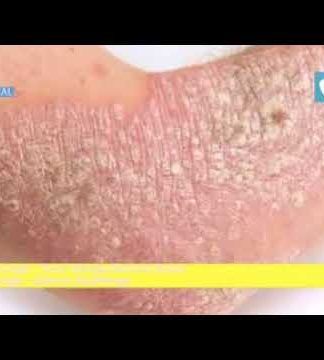 LE JOURNAL DU 29 OCTOBRE, EDITION DE 20H