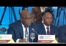 Félix Antoine Tshisekedi promet de faire de la Russie, un partenaire privilégié de la RDC