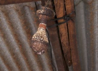 Kolwezi/Quartier Manika I et II: Manque du courant électrique dans le quartier Kayeke