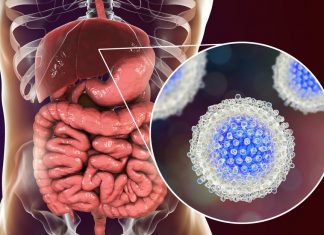 Journée mondiale contre l’Hépatite: Un fléau qui décime la planète