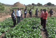 Lualaba/Tshala: Les jeunes se prennent en charge