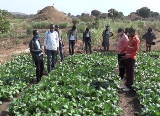 Lualaba/Tshala: Les jeunes se prennent en charge