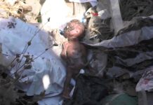 Kolwezi/Quartier Kayeke: Un fœtus mort, retrouvé dans les égouts