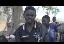 DECOUVERTE BUNKEYA FABRICATION LOCALE DES CHARBONS DE BOIS