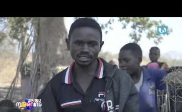 DECOUVERTE BUNKEYA FABRICATION LOCALE DES CHARBONS DE BOIS