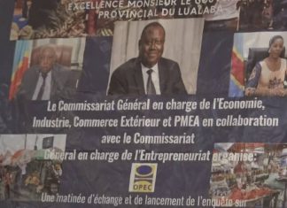 Lualaba: Lancement de l’ enquête d’identification des micros, Petites, moyennes entreprises et artisanat