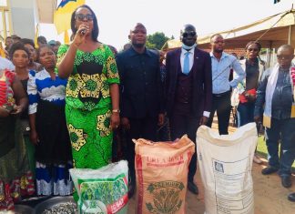 Remise des intrants agricoles en faveur de la population du Lualaba-gare