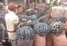 Kolwezi/Economie : Hausse du prix de charbon de bois