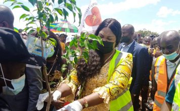 Lualaba: Lancement de la campagne de plantation d’arbres par Fifi Masuki