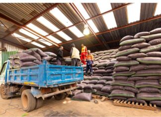 Lualaba: L’entreprise TFM s’apprête à lancer la distribution d’intrants pour la campagne agricole 2025-2026. Et, se félicite de la moisson de l’année culturale précédente (Communiqué)