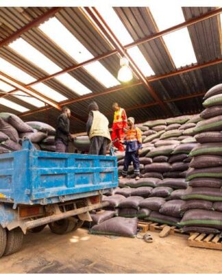 Lualaba: L’entreprise TFM s’apprête à lancer la distribution d’intrants pour la campagne agricole 2025-2026. Et, se félicite de la moisson de l’année culturale précédente (Communiqué)