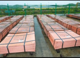 La responsabilité sociétale deTFM, un accélérateur du développement durable